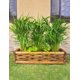 thumbnail image 2 of Maceta de madera jardinera Hanlob tipo pino, 2 of 7