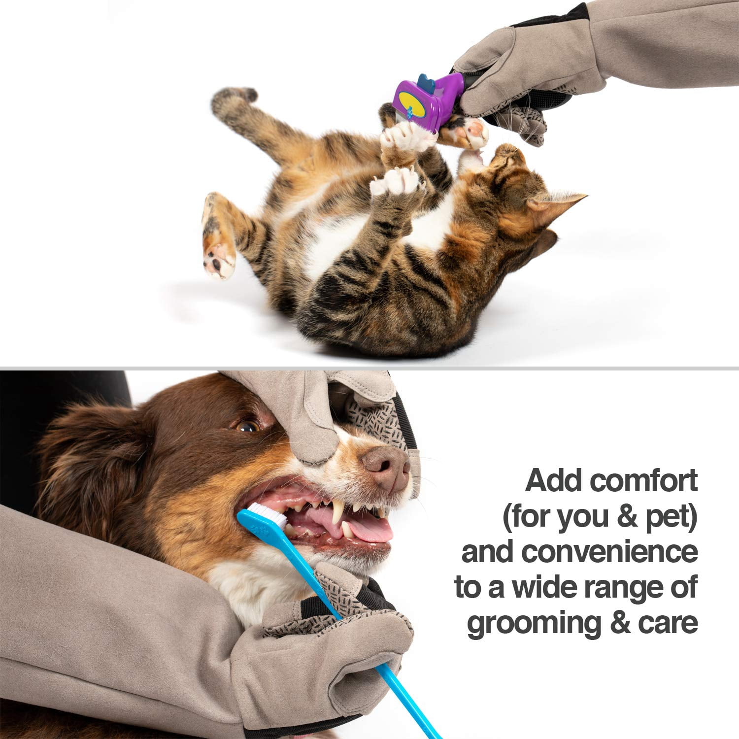 PetFusion Multipurpose Puncture and Water-Resistant Pet Grooming and Bathing Gloves, For Dogs, Cats and Pets, Medium, Grey, 1 Pair