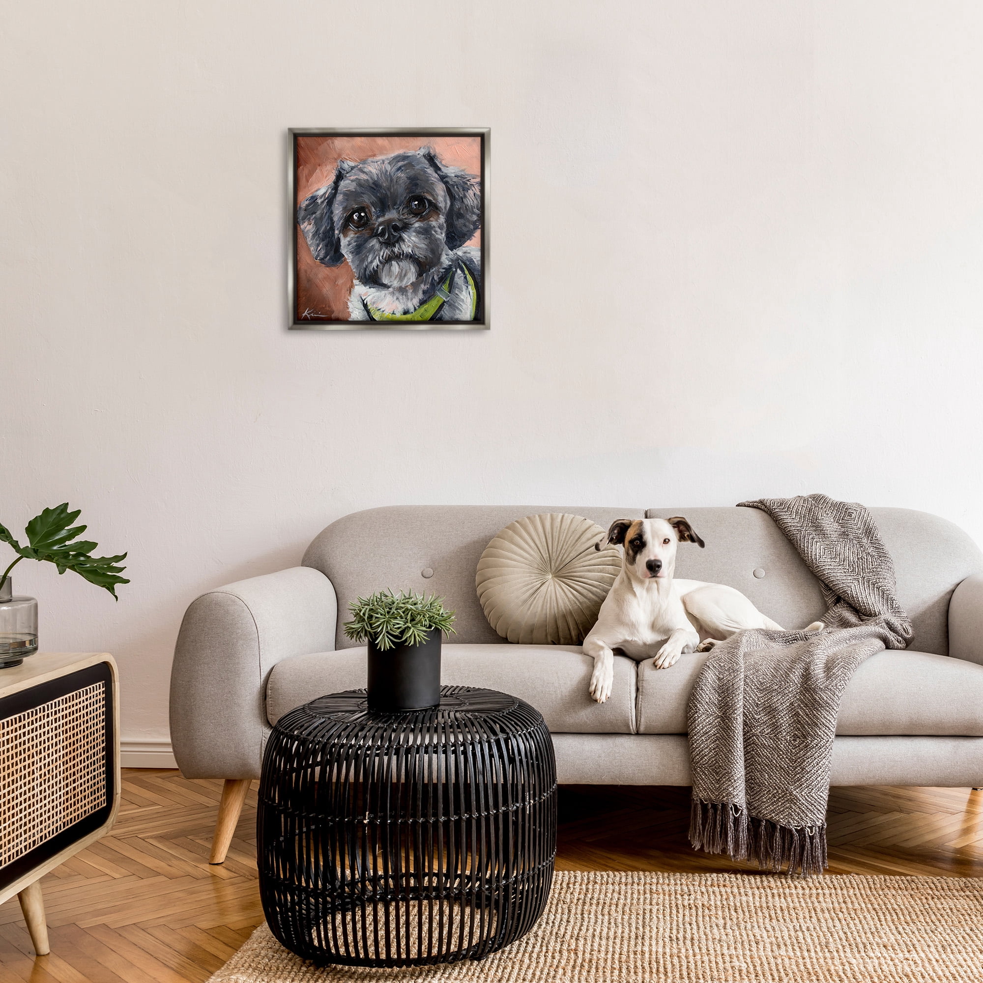 Stupell Industries Black Shih Tzu Dog Portrait Animals & Insects Painting Gray Floater Framed Canvas Art Print Wall Art, 25 x 25