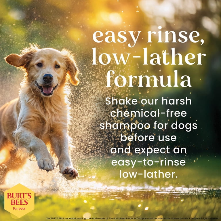 Burt's Bees Oatmeal Shampoo for Dogs, Colloidal Oat Flour, 16 oz photo 6