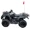 Black, variant on RPS Canyon 230 cc ATV