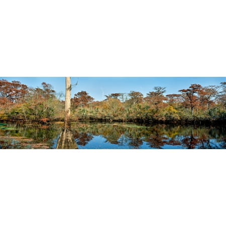 Marsh Island - View of trees at marsh Barrier Islands North Carolina USA Poster Print by Panoramic Images