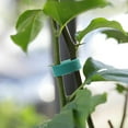 thumbnail image 4 of Flmtop 1 Roll Plant Rope Reusable Strong Grip Nylon Green Ribbon Vinyl Staking Twist Tie for Gardening, 4 of 8