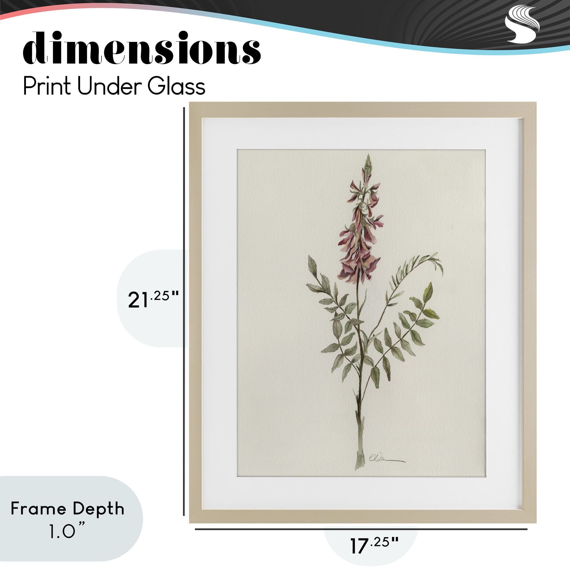 Stupell Industries Nature's Delicate Herb Sprig Birch Framed Print Under Glass, design by Cady Driver