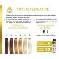 thumbnail image 3 of TINTE ALTERNATIVE CARE- color 6.1 RUBIO OSCURO CENIZA contenido de 90g Alternative Care 6.1 RUBIO OSCURO CENIZA, 3 of 5