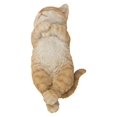 thumbnail image 1 of Chat Endormi - ORANGE, 1 of 3