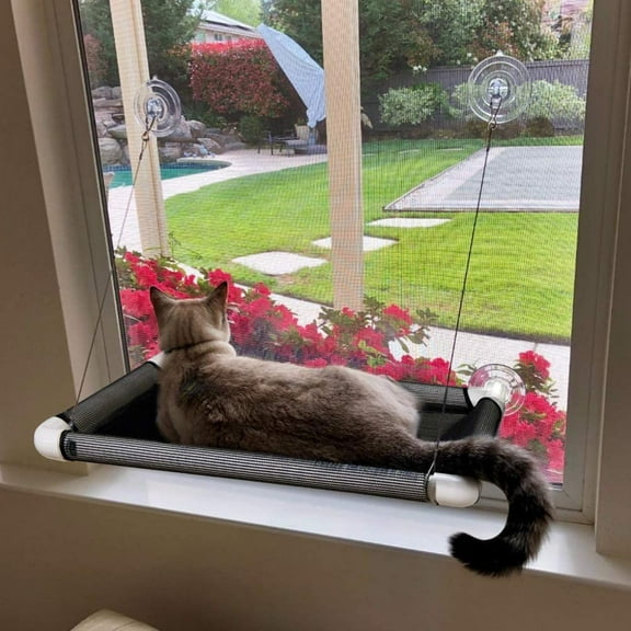 Cat Hammocks for Window - Seat Suction Cups Space Saving Cat Bed, Pet Resting Seat Safety Cat Window Perch for Large Cats, Providing All Around 360 Sunbath for Indoor, Weighted up to 60lbs