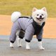 thumbnail image 2 of Ropa para mascotas engrosada en invierno, ropa para perros pequeños, ropa reflectante cálida de algodón para mascotas, ropa para mascotas, 2 of 4