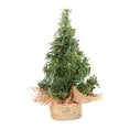 thumbnail image 4 of Simulación Mini árbol de Navidad Artesanía creativa para apartamento Oficina 20 centímetros Yuyangstore Mini árbol festivo, 4 of 8