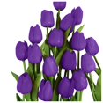 thumbnail image 1 of 10PC Tulip Artificial Flower for Mother's Day Gift Real Touch Artificial Tulip Bouquet Fake Flower, 1 of 4
