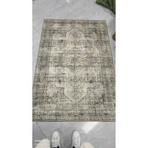 RONSHIN Area Rugs Washable Carpets 980Gsm 100% Polyester Terry Velvet 200 Washed Folded Printed Carpet-Persia-Weiyang Beige 2*6ft