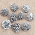 thumbnail image 5 of Juego de 6/9 piezas de piñas doradas y plateadas para hacer tú mismo, para decorar coronas navideñas, bolas de piña, adornos para árboles de Navidad, 5 of 5