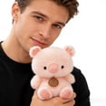 thumbnail image 5 of Small Stuffed Animals Mini Desktop Doll Decoration As Fun Stuffed Animals For Boys For Room Ornament, 5 of 8