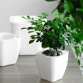 thumbnail image 3 of Injueey Jardinera hidropónica cuadrada plástica de los PP para las flores - tanque de agua innovador para la irrigación fácil Jardín y Patio Cuadrado blanco G105, 3 of 6
