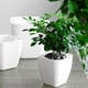 thumbnail image 3 of Inteprter Maceta transpirable con tiempo hidropónico prolongado: proporciona suficiente agua para las necesidades de las plantas Jardín y Patio Cuadrado blanco G105, 3 of 6
