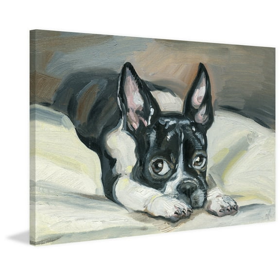 Marmont Hill Frenchie Eyes II by Eyre Tarney Canvas Wall Art