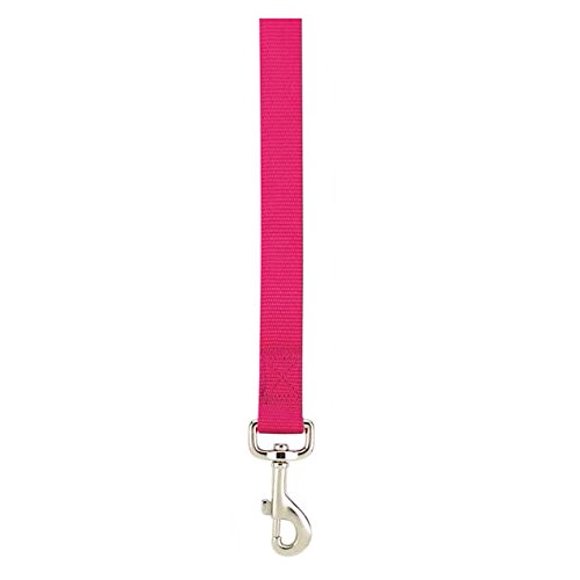 Zack & Zoey Fils en Nylon Couleur Brite pour Chiens Choisissez parmi 11 Couleurs 3 Tailles Laisse pour Chien (Petit - Sorbet Framboise)