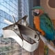 thumbnail image 5 of Jaula para pájaros, Clip para , juguete para forrajeo de aves para loros, periquitos, animales pequeños, 5 of 7