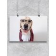 thumbnail image 1 of Dog In Glasses And Shirt Poster -Image by Shutterstock, 1 of 2
