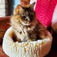 thumbnail image 4 of Huggle Hounds 51001046 Fleece Snuggler Cat Bed, 4 of 6