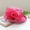 Rose Red, variant on Yoyauz Kentucky Church Derby Dress Clock Hat Sweet Cute Floral Bucket Hat