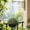 Black, variant on Self Watering Hanging Planter, 7 Inch Iron Hanging Basket for Indoor Outdoor Plants with Chain, Decorative Wall Planter for Balcony Porch