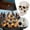 White-1PC, variant on Fireproof Ceramic Skull Fire Pit Log Reusable Halloween Decoration for Indoor Outdoor Fireplaces Bonfire Campfire Props and Fireplace Accessories with Realistic Skull Design