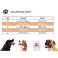 thumbnail image 4 of Velvet Dog Collar And Leash, Super Soft And Smooth, Heavy Duty Gold Buckle, Adjustable Dog Collar, 4 of 5