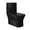 Black, variant on Concorde One Piece Square Toilet Dual Flush in Matte Grey 1.1/1.6 gpf