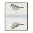 thumbnail image 5 of Stupell Industries Tranquil Sandpiper Bird Reflection Shallow Beach Shoreline Graphic Art Black Framed Art Print Wall Art, Design by Ziwei Li, 5 of 5
