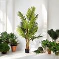 thumbnail image 5 of 60 inches Artificial Palm Tree in Nursery Pot, 5 of 5