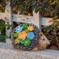 thumbnail image 3 of Solar Suculento Erizo Jardín Luz Resina Led Ornamento Animal Estatua Para La Decoración Del Patio Del Hogar Inevent HA035997-00, 3 of 6