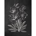thumbnail image 3 of House Fenway 15x18 Black Modern Framed Museum Art Print Titled - Vintage Chalkboard Flowers, 3 of 5
