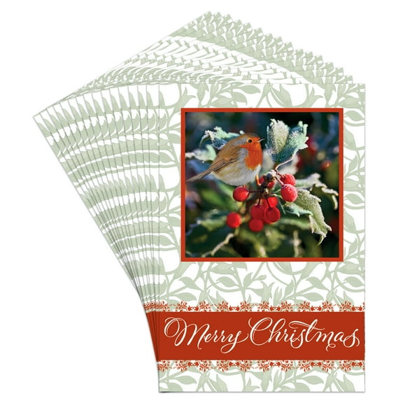 Christmas Boxed Greeting Card Multi-Pack Set (4" x 6") by Fravessi | 16 Cards   17 Envelopes | Winter Bird Scene Design