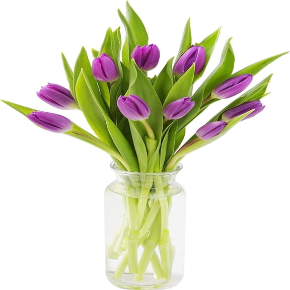 KaBloom: 10 Purple Tulips, 3 Greens with Vase, Next-Day Delivery, Gift for Every Occasion.
