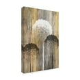 thumbnail image 2 of Trademark Fine Art 'Rustic Garden I' Canvas Art by James Burghardt, 2 of 4