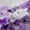 White Purple, variant on jejeloiu Country Floral Black Out Curtains,Rustic Botanical Curtains Pack of 2 (42x63 Each),White Pink Bedroom Curtains For Girls,Microfiber Bedroom Decor