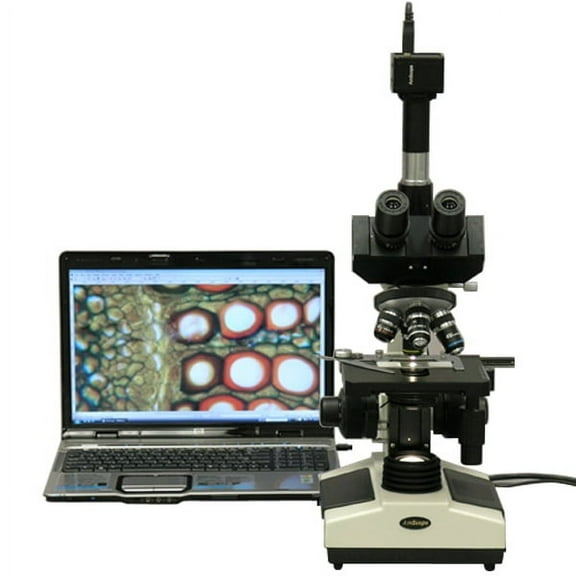 AmScope 40X-2500X Doctor Veterinary Clinic Biological Compound Microscope   1.3MP Camera New