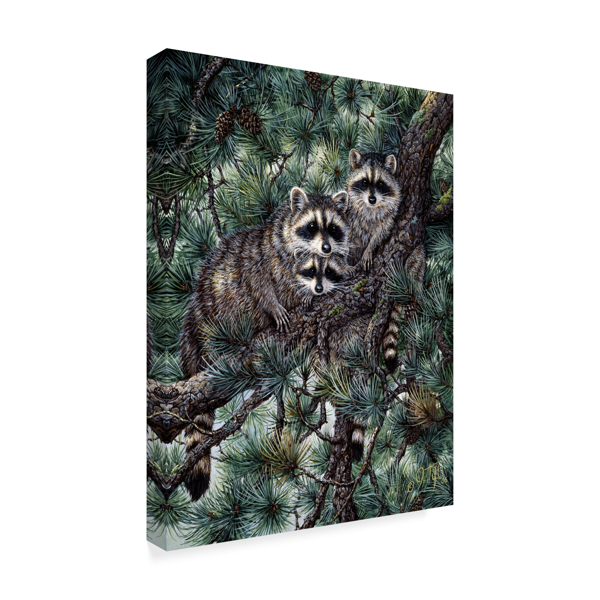 Trademark Fine Art 'Racoons' Canvas Art by Jeff Tift