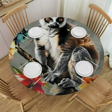 

SHERONV Lemur Flowers Branch Round Table Cover Stain Resistant Washable Indoor Outdoor Tablecloth Kitchen Dining Wedding Parties 100% Polyester Fiber 38-42