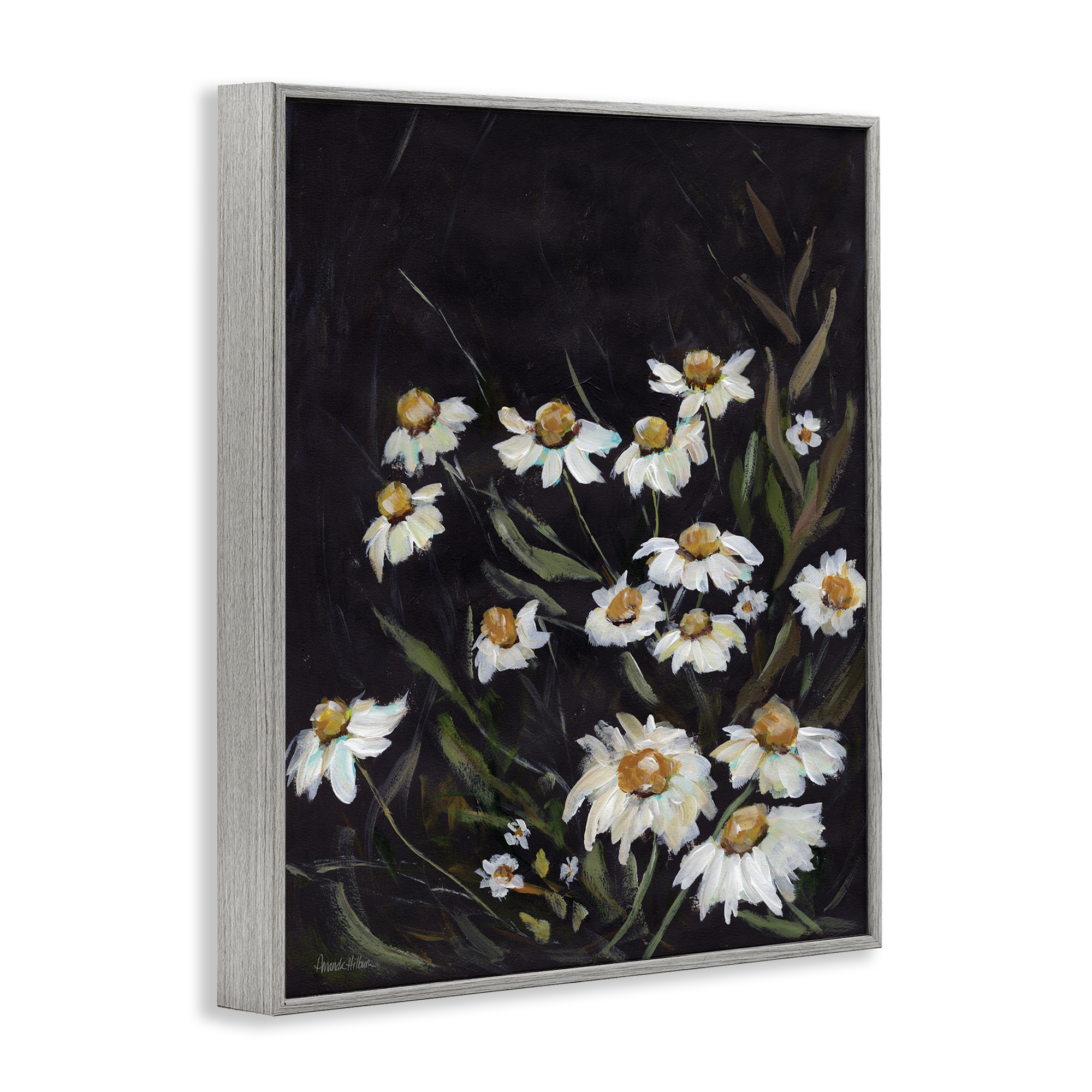 Stupell Industries Daisies on Black Botanical & Floral Painting Gray Framed Art Print Wall Art, 11 x 14