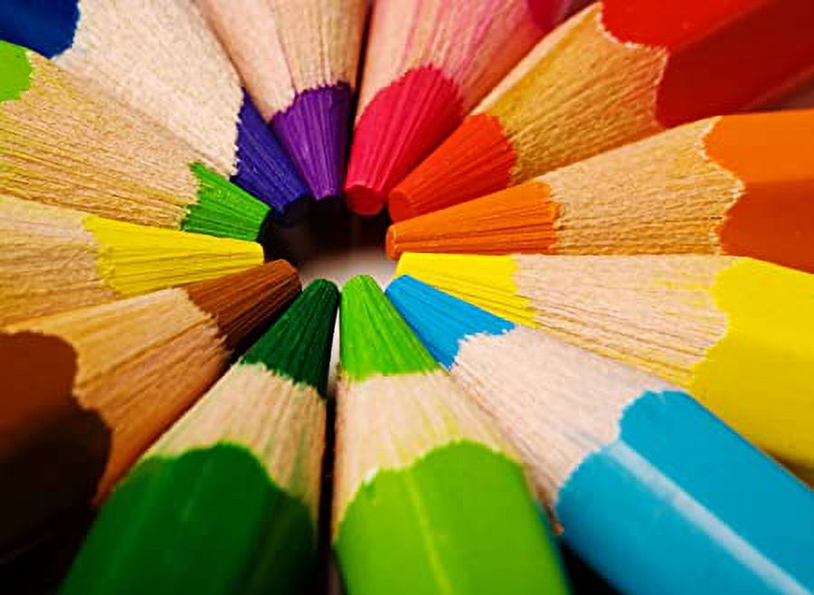 Trail maker Colored Pencils Bulk 100 Packs for Classrooms, Artists, Kids, Adult Coloring, Colored Pencils in Bulk (100 Pack)