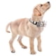 thumbnail image 2 of Faleela Collar De Perro Suave Y Cómodo Con Pajarita Desmontable Y Ajustable Para Mascotas Pequeñas, Medianas Y Grandes (S Beige), 2 of 6