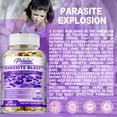 thumbnail image 5 of Parasite Blast Capsules - with Wormwood, Black Walnut, Cloves - Parasite Elimination, Promotes Intestinal Cleansing - 120 Capsules, 5 of 8