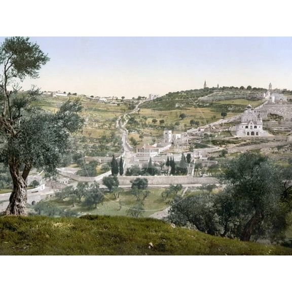 Mount Of Olives, C1900, Religion Scenic World Culture Unframed Photographic Print Wall Art Sold by Art.Com