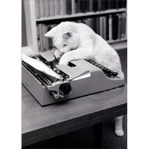 Avanti Press Typewriter Cat Humorous : Funny Birthday Card