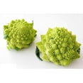 thumbnail image 3 of shiyou-- Broccoli Romanesco Cabbage Beautiful - Vegetable Heirloom for Planting, 3 of 4