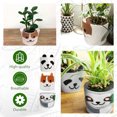 thumbnail image 3 of Cuenca Irfora Maceta de panda Macetas de fieltro Maceta de flores de dibujos animados en forma de animal lindo Maceta de cultivo de bolsa Maceta para interior Patio al aire libre Decoración Irfora Cuenca, 3 of 5