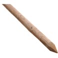thumbnail image 1 of Ambassador Round Softwood Tree Stake, 1 of 2