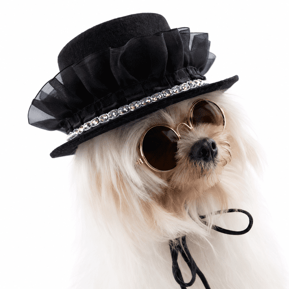 Halloween Pet Top Hat for Dogs and Cats, 6.3 in Adjustable Black Gentleman Hat, Pet Halloween Costumes Accessories for the Most Gentleman Halloween Look